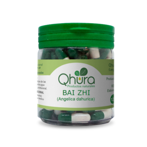 BAI ZHI (Angélica Dahurica)