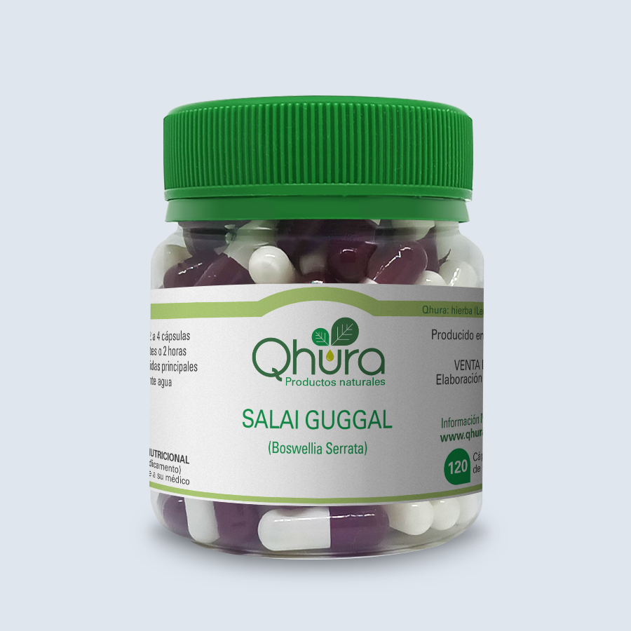 300 Graines De Boswellia Serrata, Semi Dell'albero Di Incenso Indiano: Semi - Foto 2